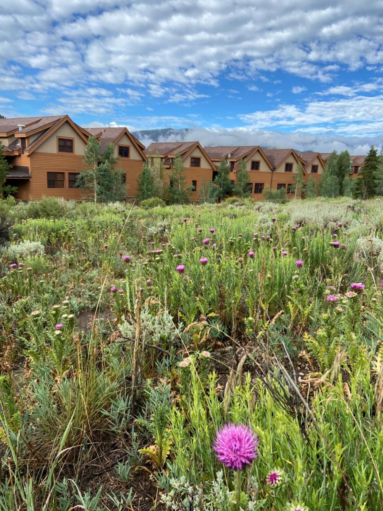 Antlers Gulch 501 By Summitcove Lodging Keystone Zewnętrze zdjęcie